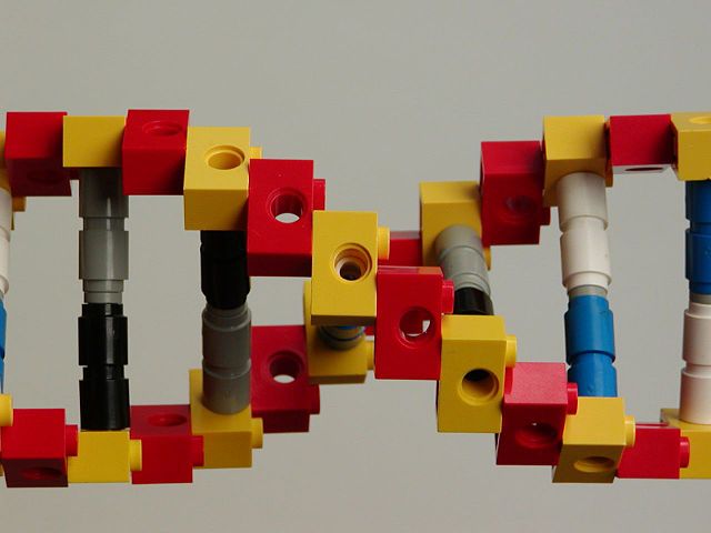 DNA Lego
